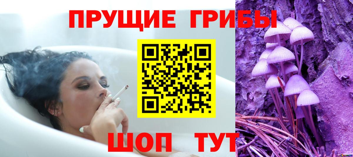 Галлюциногенные грибы Cubensis Ялта