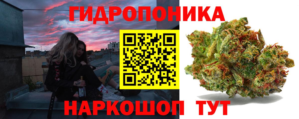 Каннабис OG Kush Ялта
